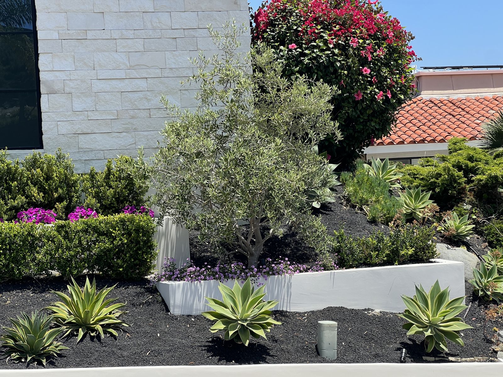Outdoor & hardscape